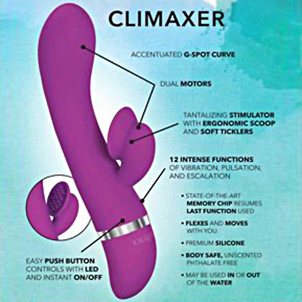 Foreplay Frenzy Climaxer Vibrator