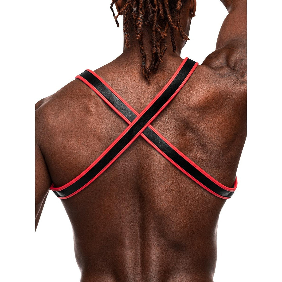 Leo Studded Chest Harness - Black/Red