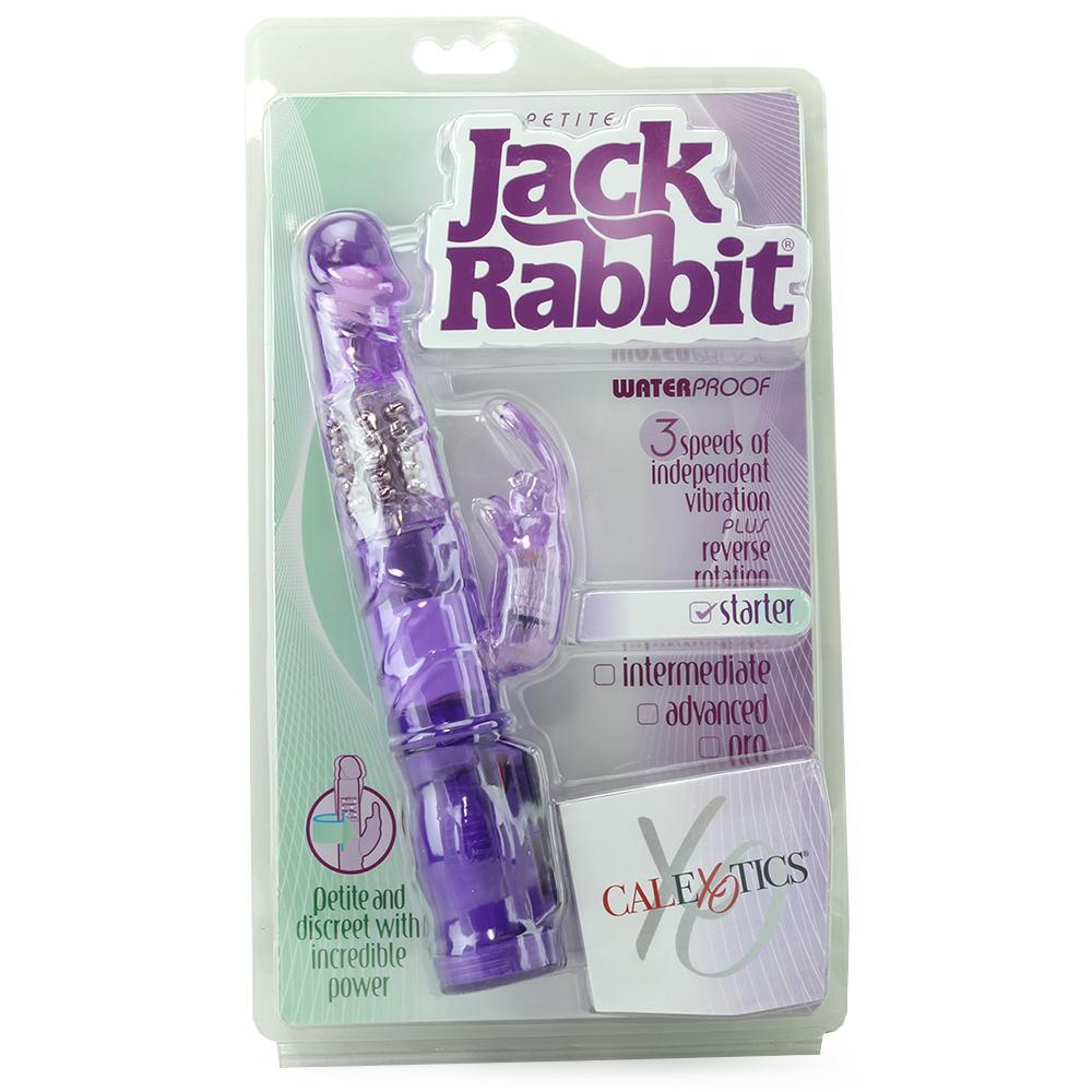 Petite Jack Rabbit