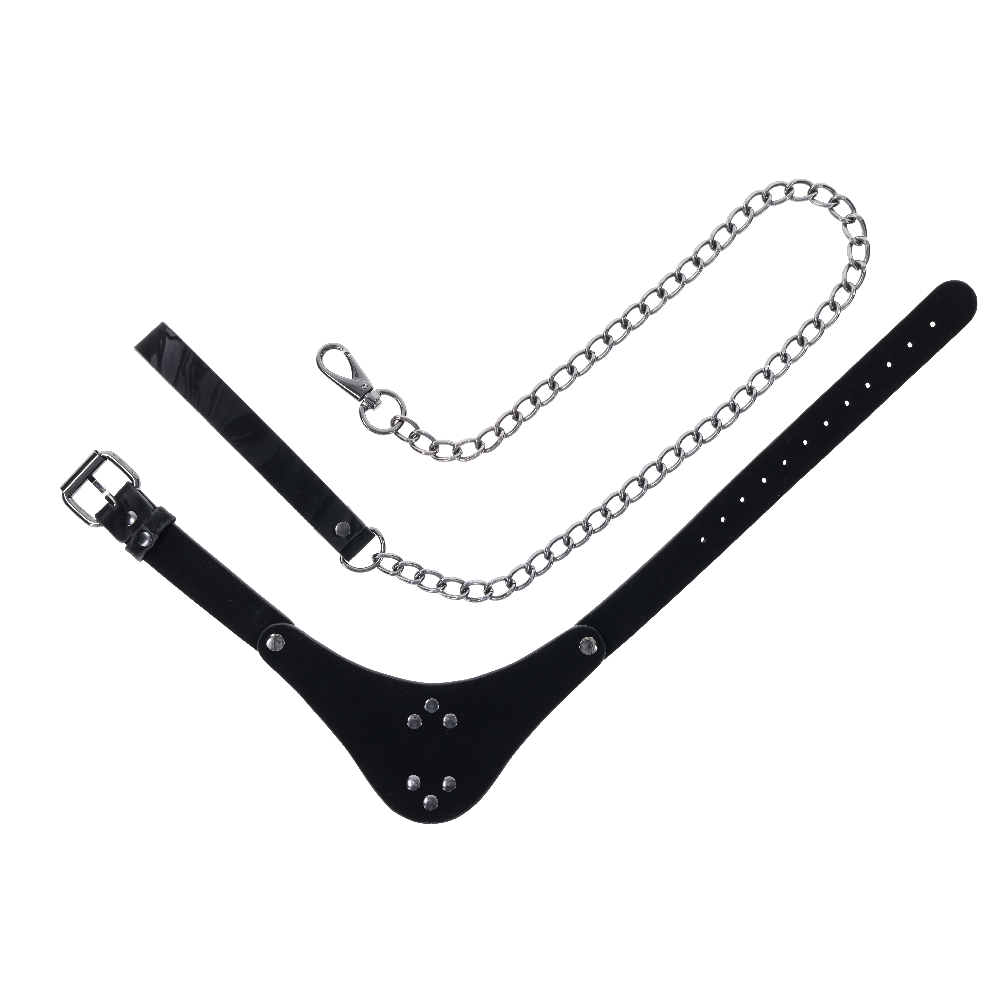 Velvet Noir Collar and Leash