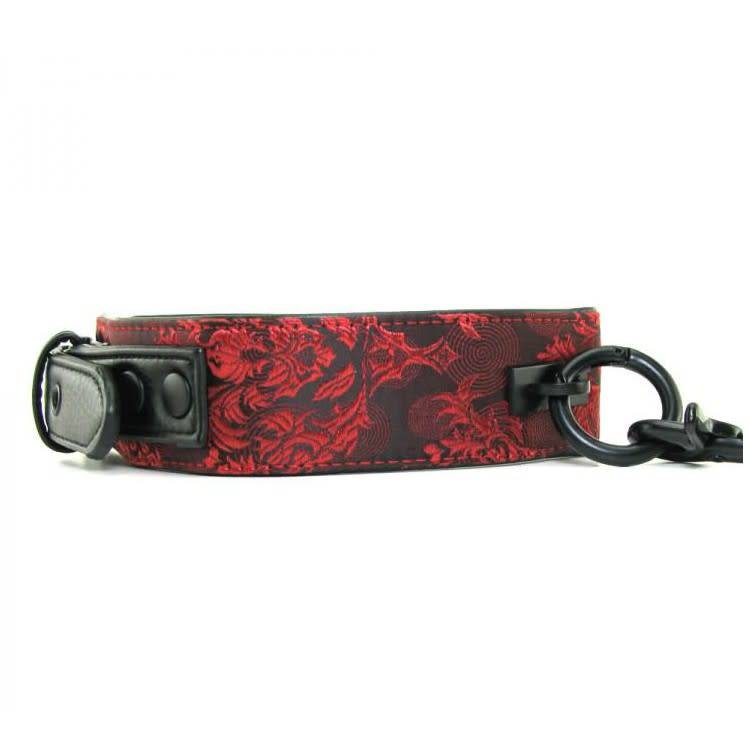 Scandal Collar with Leash