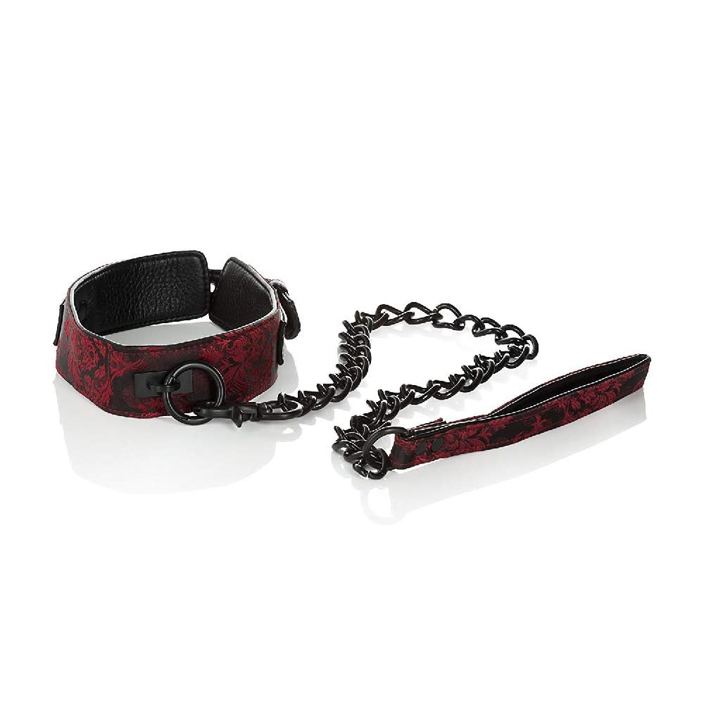 Scandal Collar with Leash