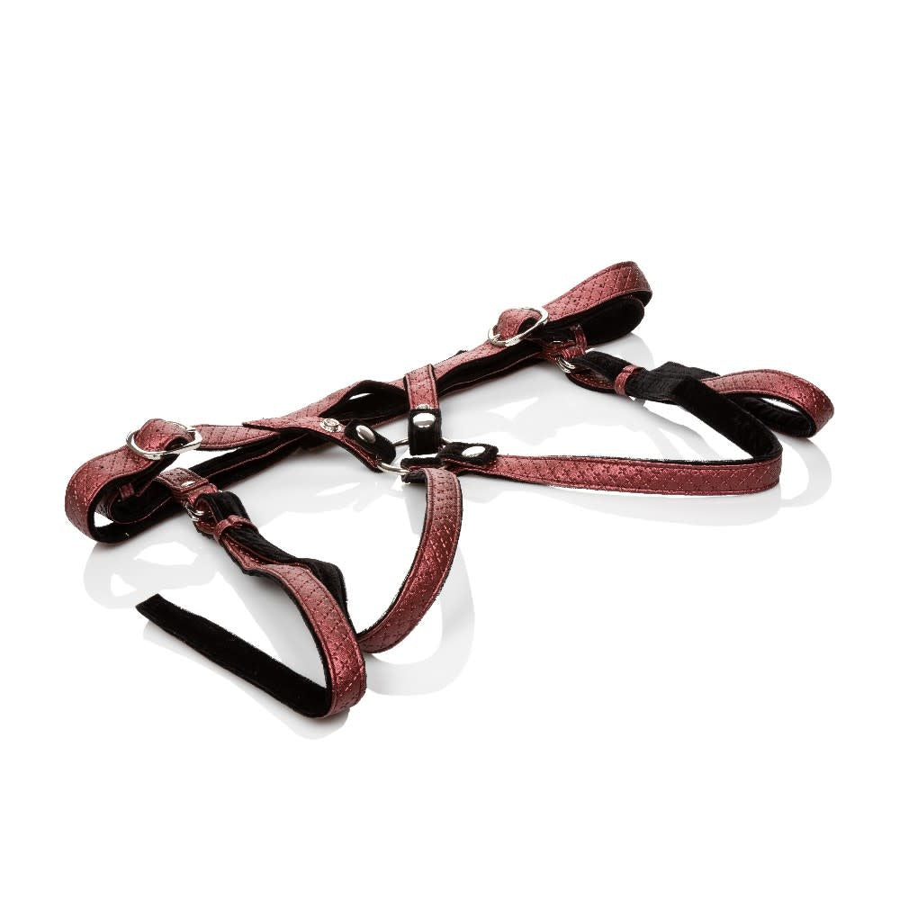 Regal Duchess Royal Harness - Red