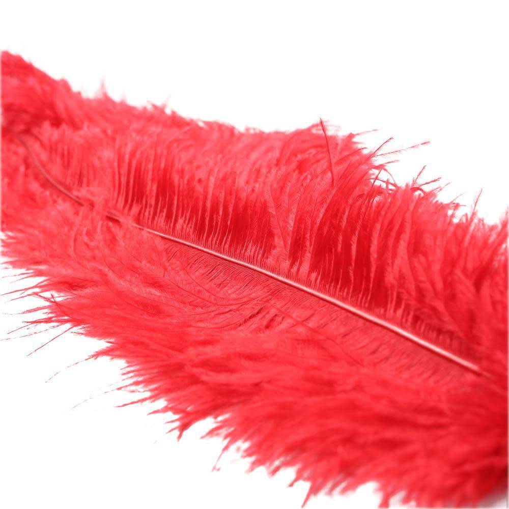 Ostrich Feather Red Tickler