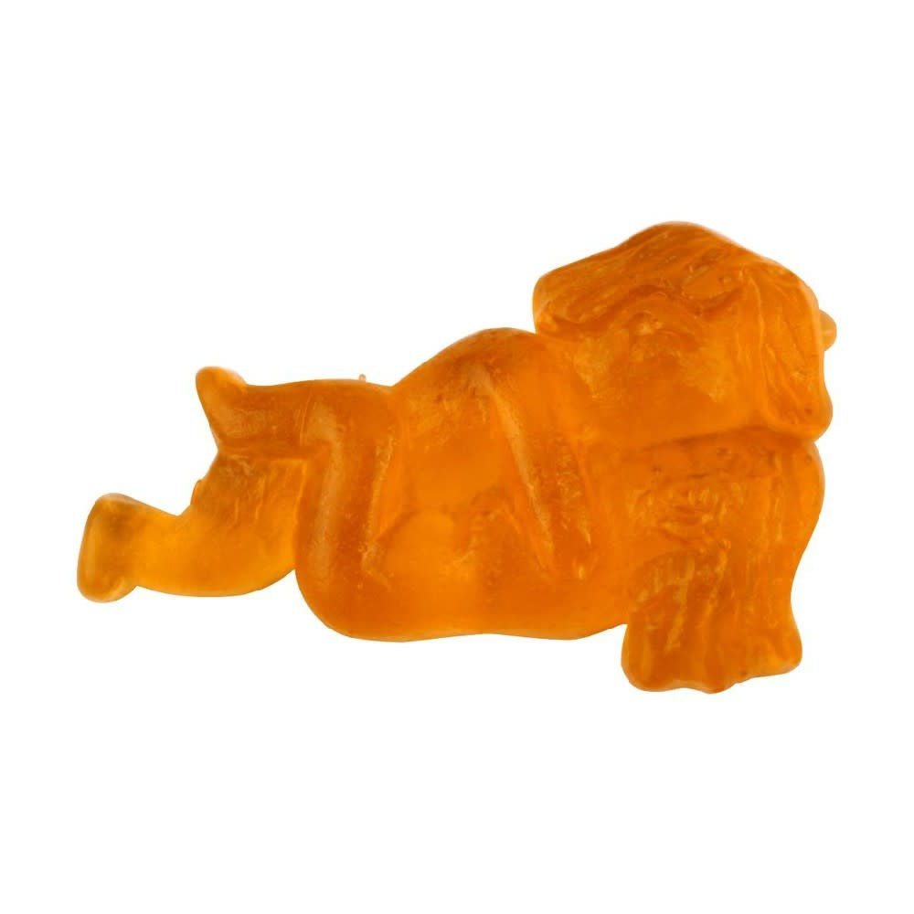 Gummy Sutra