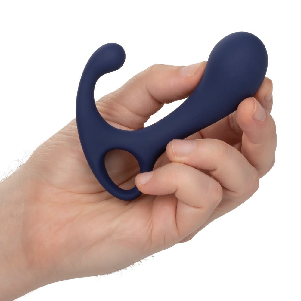 Viceroy Direct Prostate Probe