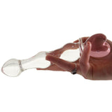 8" Sweetheart Glass Dildo