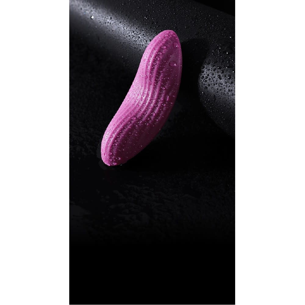 Edeny App-Controlled Panty Vibrator