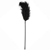 Ostrich Feather Black Tickler