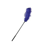 Ostrich Feather Purple Tickler