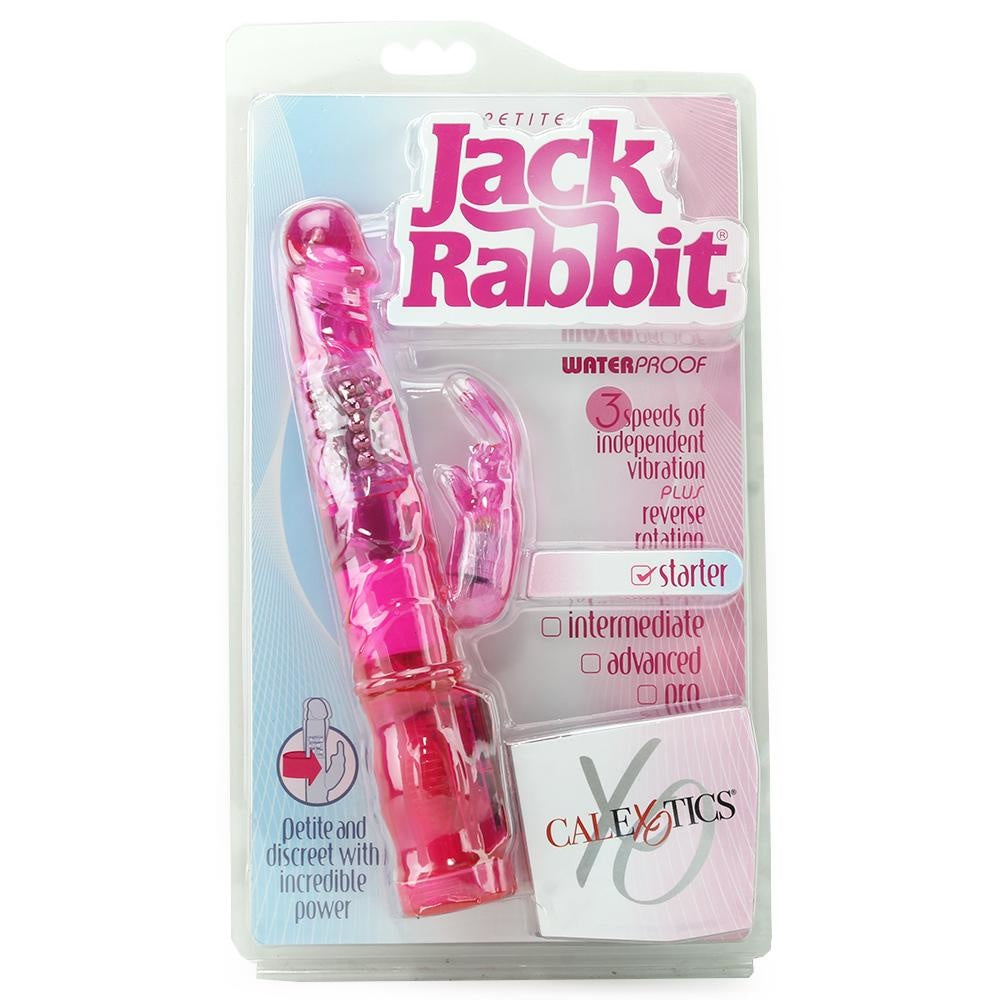 Petite Jack Rabbit