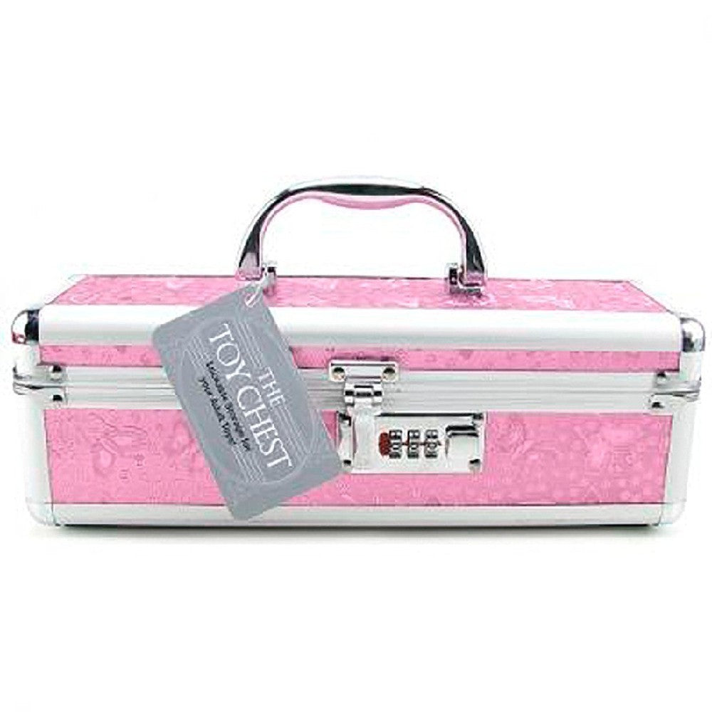 Lockable Toy Box Medium 12"x4"x4"